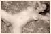 carolinef-sepia-03