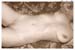 carolinef-sepia-05