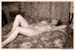 carolinef-sepia-08