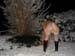 neige_2005_012