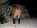 neige_2005_019
