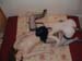trio_ninie_contri_3